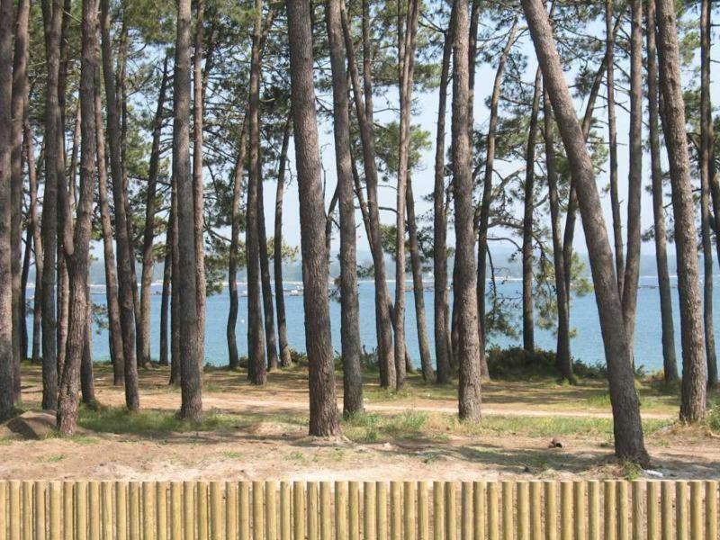 Апартаменты Excelente Apartamento En La Ла-Исла-де-Ароса Экстерьер фото